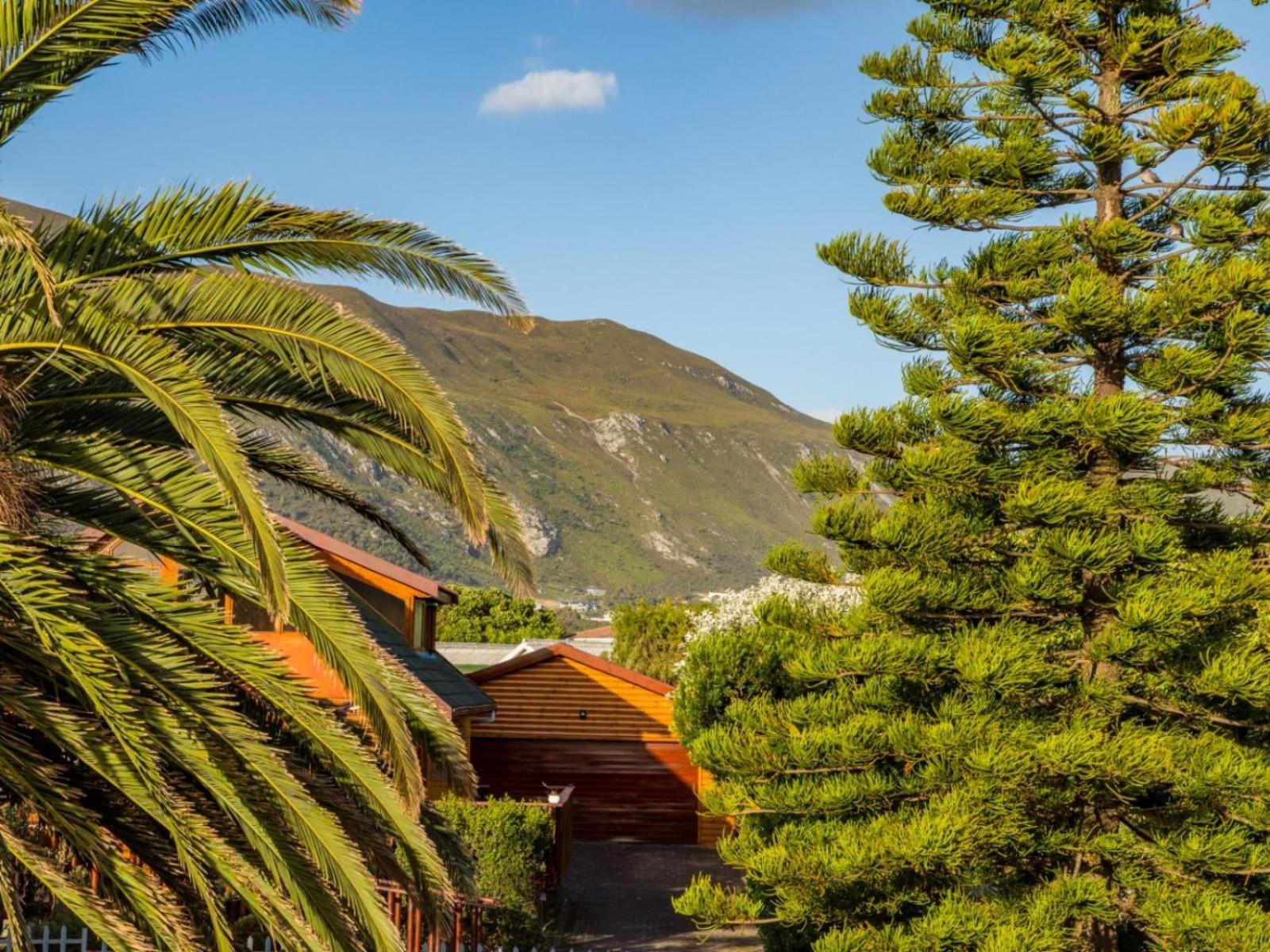 Two Palm House - Vermont Hermanus Rom bilde