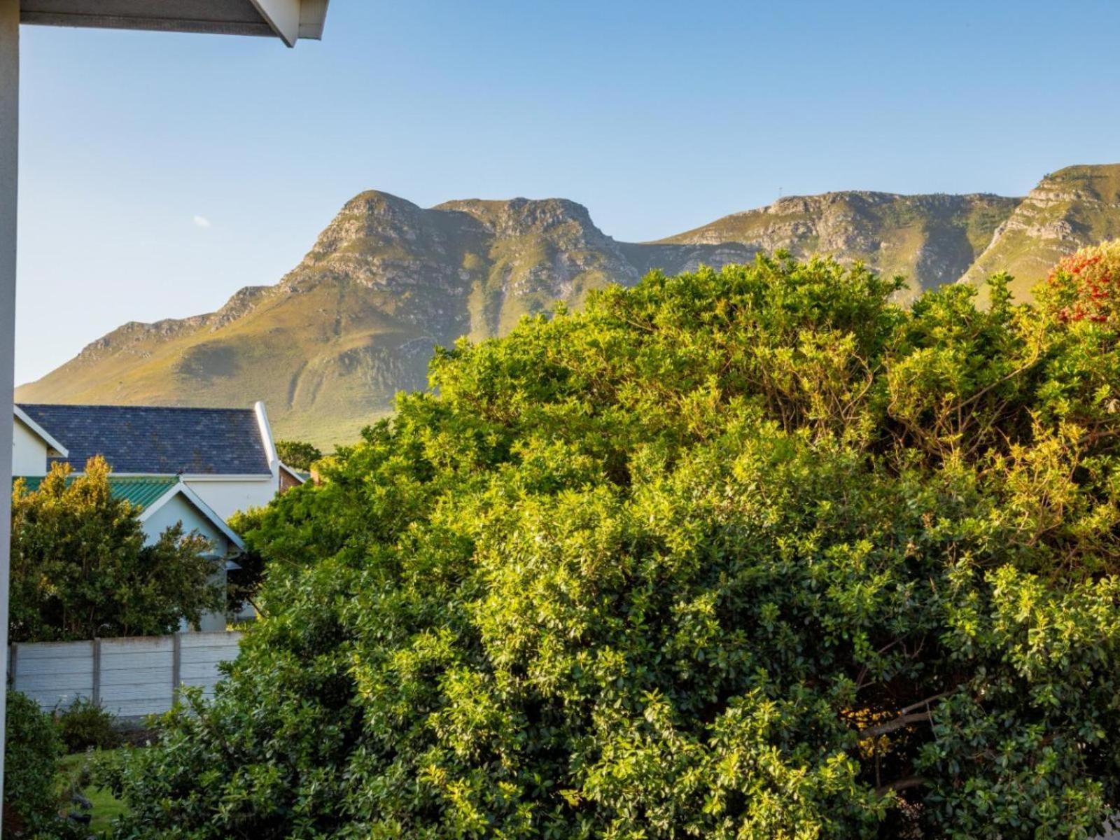 Two Palm House - Vermont Hermanus Rom bilde