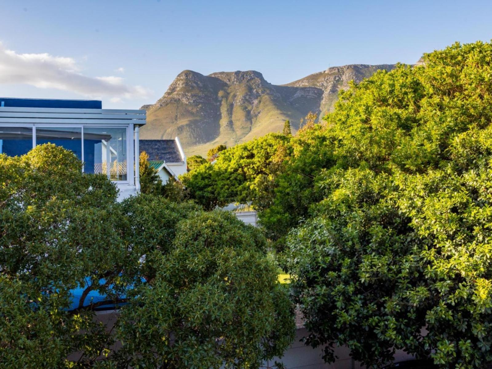 Two Palm House - Vermont Hermanus Rom bilde